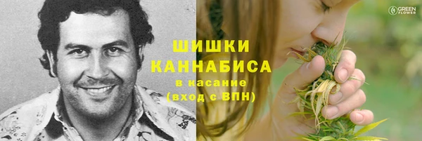 молекула духа Волоколамск