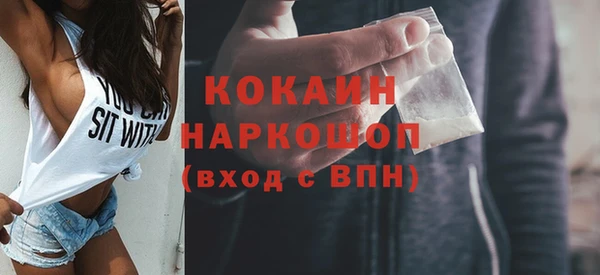 молекула духа Волоколамск