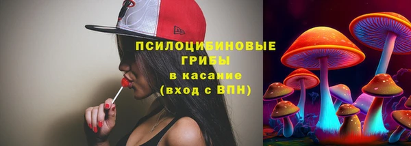 PSILOCYBIN Володарск
