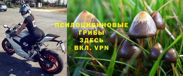 PSILOCYBIN Володарск