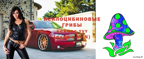 молекула духа Волоколамск
