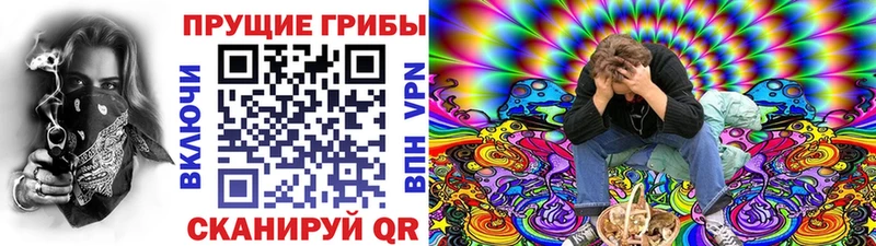 Галлюциногенные грибы Psilocybe  магазин    Можайск 