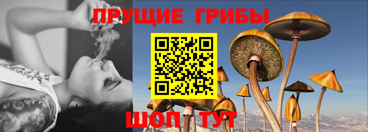 Можайск  Галлюциногенные грибы прущие грибы  Галлюциногенные грибы прущие грибы  Вход с VPN 